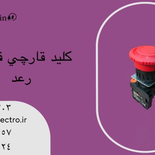 کلید امر جنسی (قارچی) قفلشو رعد ESTR