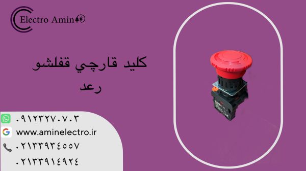 کلید امر جنسی (قارچی) قفلشو رعد ESTR