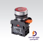 کلید فشاری استپ چراغدار رعد